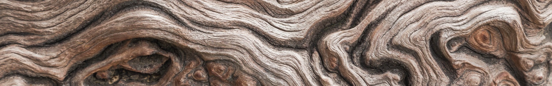 close up old aged wooden texture abstract background